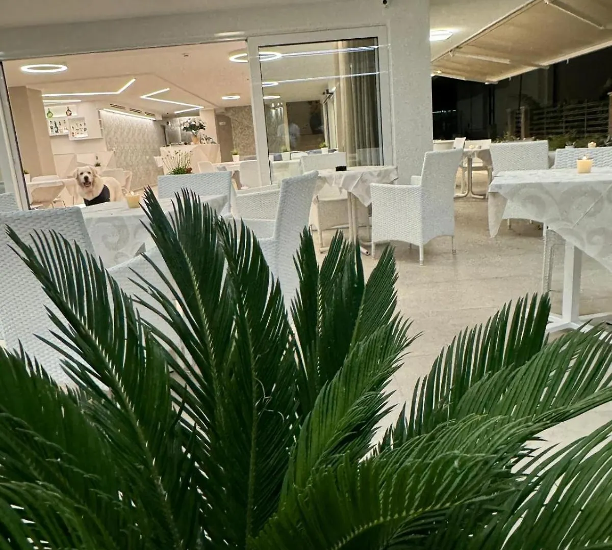 Hotel San Domingo Bellaria-Igea Marina