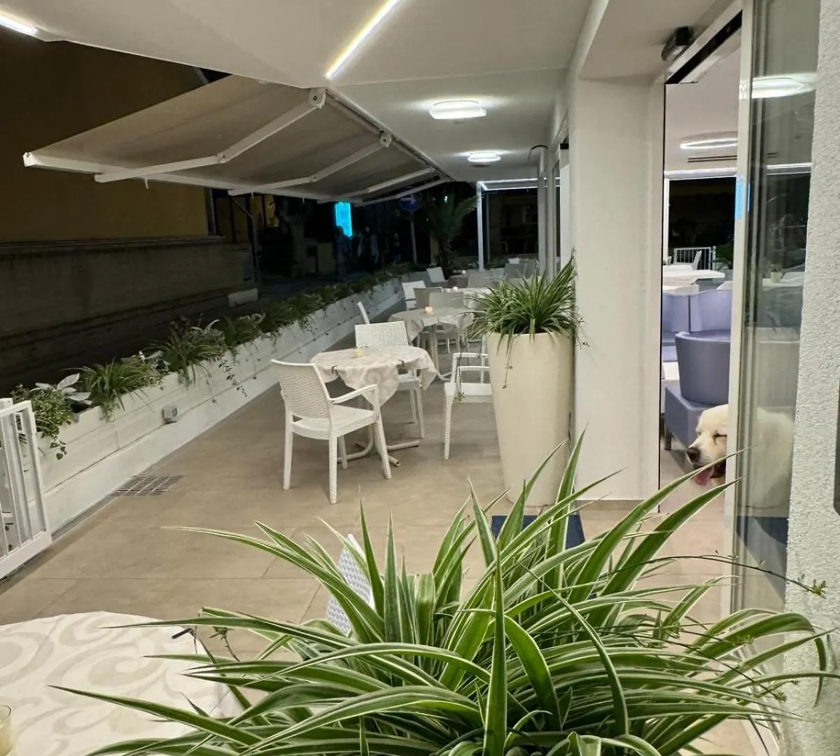 Hotel San Domingo Bellaria-Igea Marina Italië