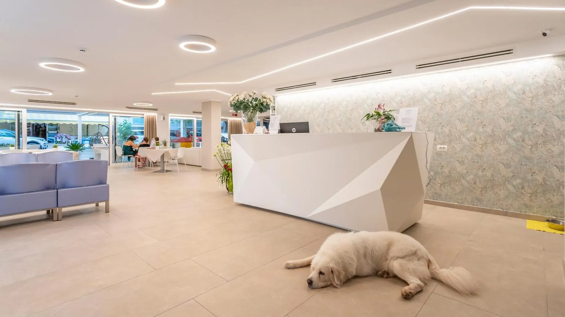 Hotel San Domingo Bellaria-Igea Marina